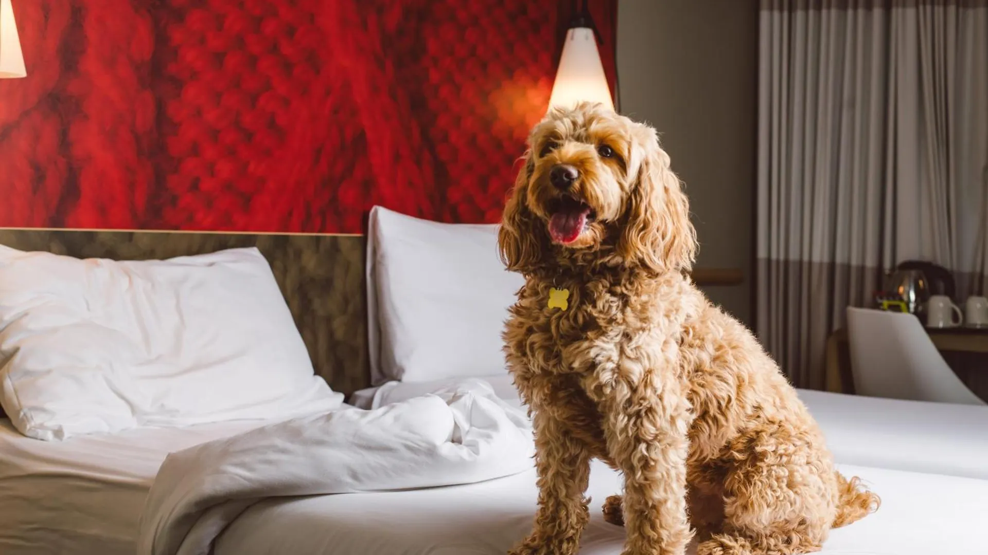 ***  Ibis London Excel-Docklands Hotel United Kingdom
